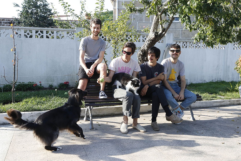 Mundo Prestigio con el perro Rayo y el gato Jay al que quizas habria que cambiar el nombre tambien